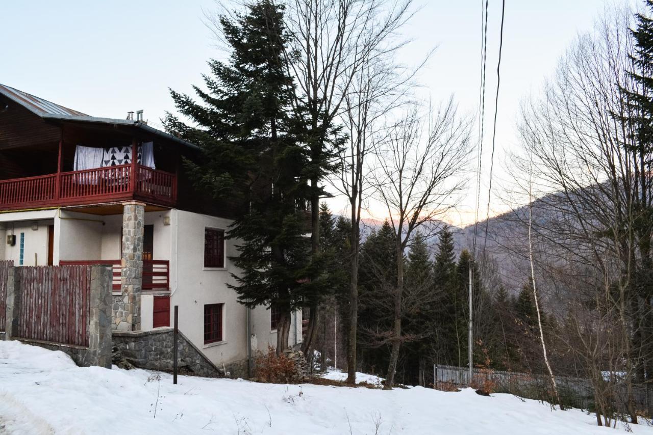 Grandpa'S Hidden Crib, 6 Bedroom, Pet Friendly Sinaia Eksteriør bilde