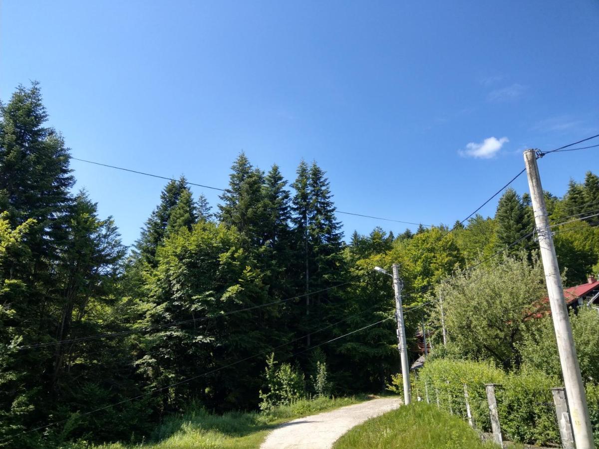Grandpa'S Hidden Crib, 6 Bedroom, Pet Friendly Sinaia Eksteriør bilde