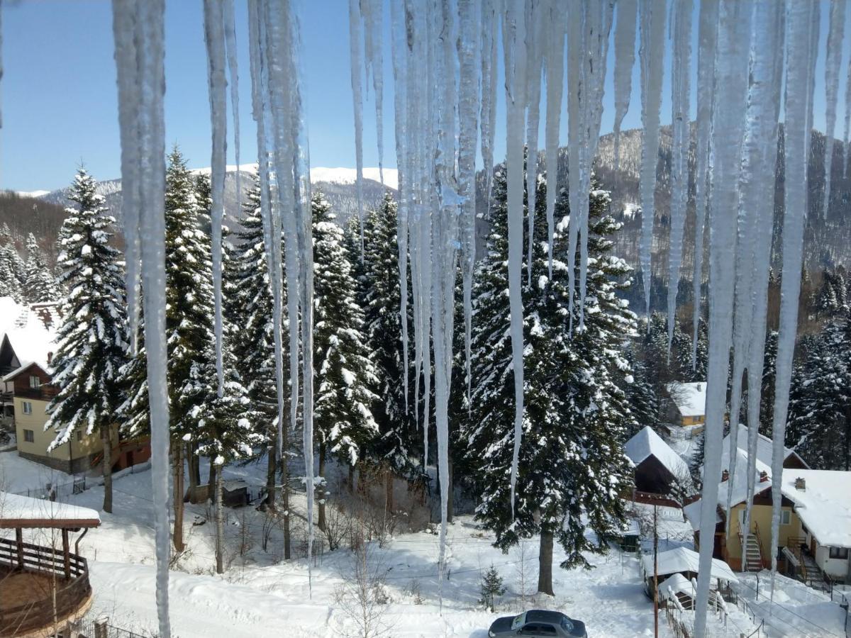 Grandpa'S Hidden Crib, 6 Bedroom, Pet Friendly Sinaia Eksteriør bilde