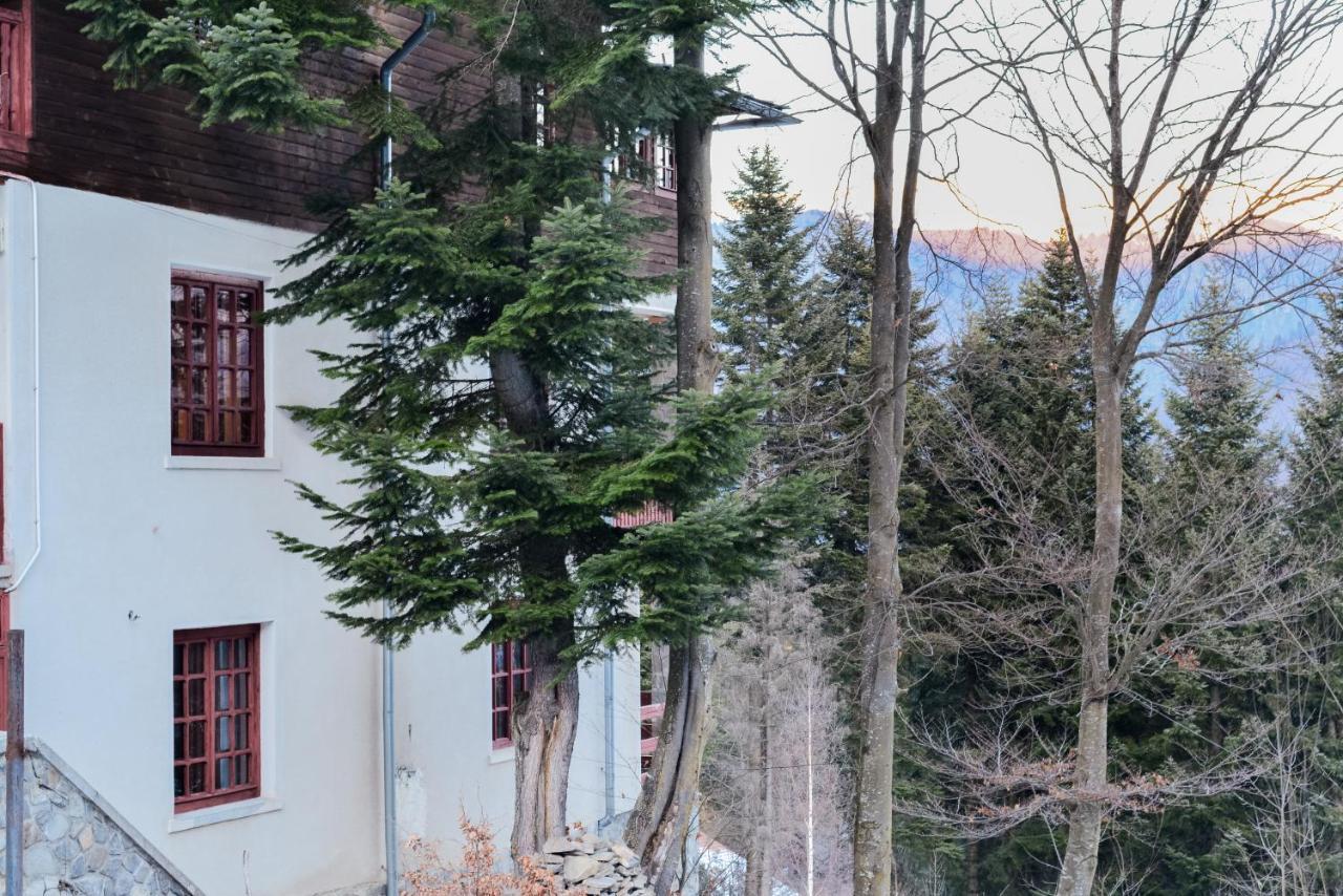 Grandpa'S Hidden Crib, 6 Bedroom, Pet Friendly Sinaia Eksteriør bilde