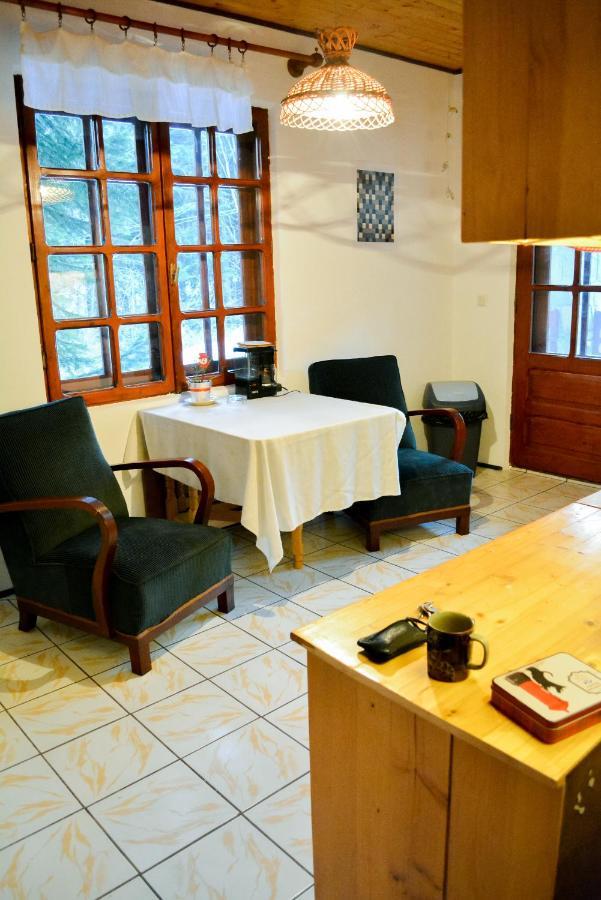 Grandpa'S Hidden Crib, 6 Bedroom, Pet Friendly Sinaia Eksteriør bilde