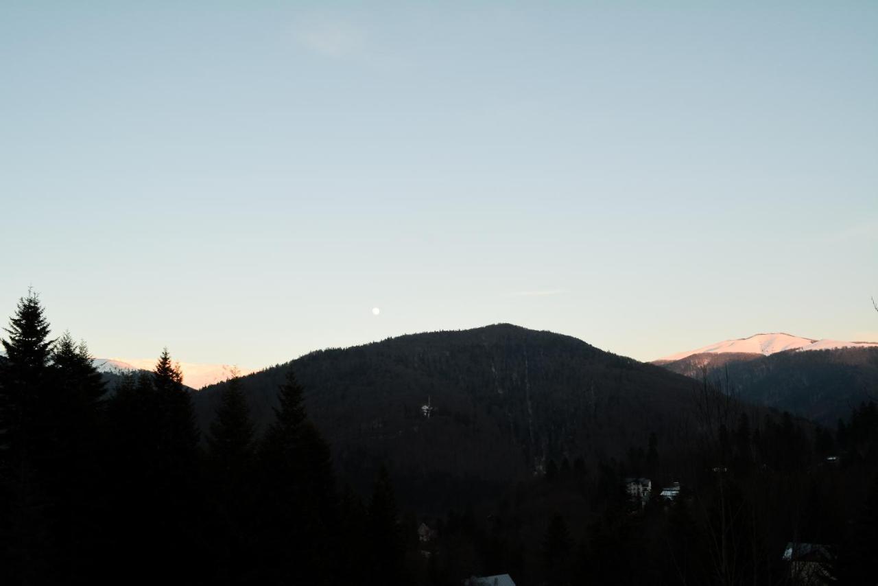 Grandpa'S Hidden Crib, 6 Bedroom, Pet Friendly Sinaia Eksteriør bilde