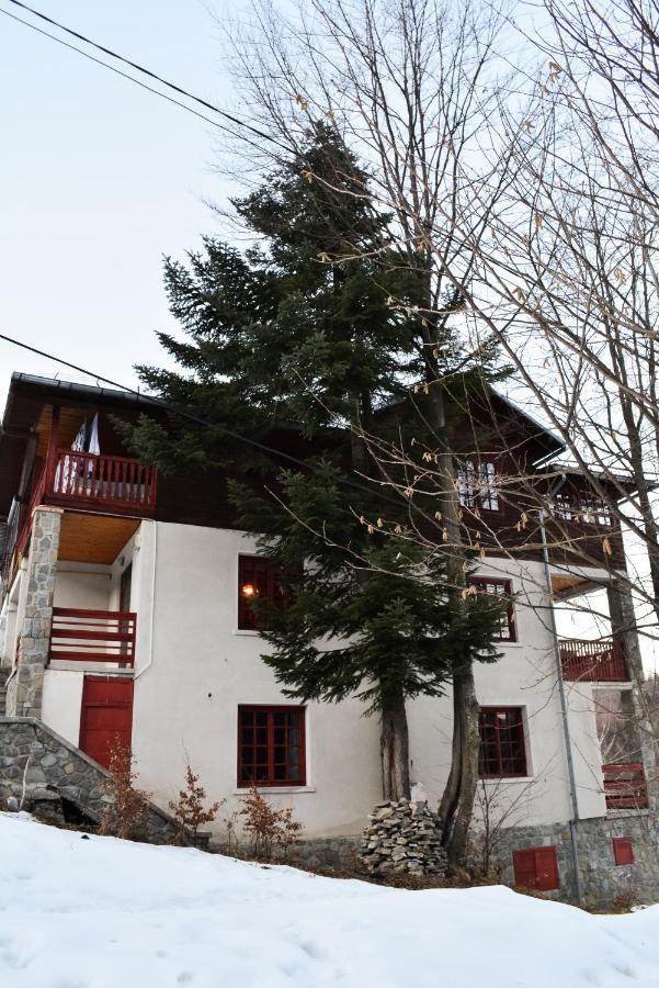 Grandpa'S Hidden Crib, 6 Bedroom, Pet Friendly Sinaia Eksteriør bilde