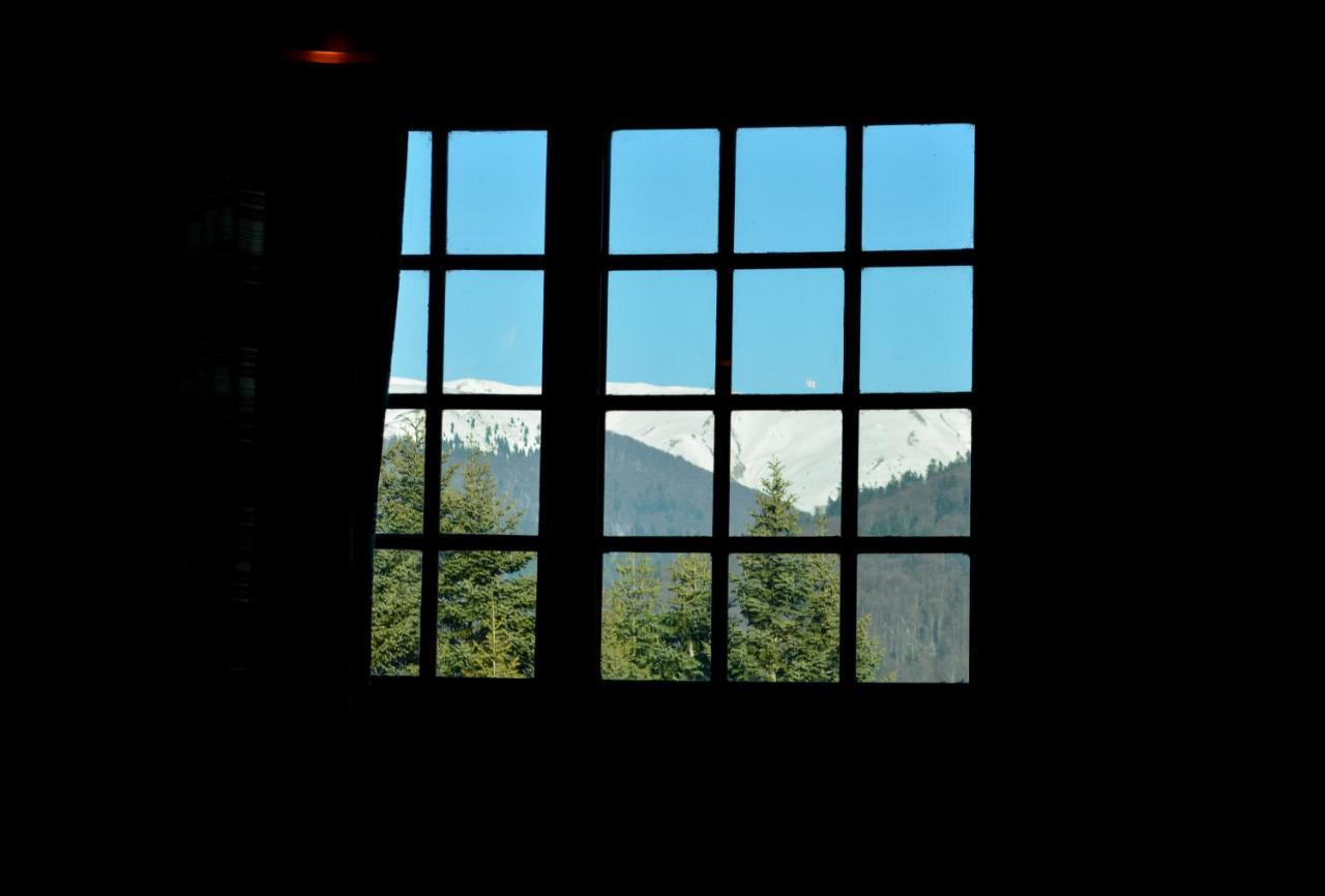 Grandpa'S Hidden Crib, 6 Bedroom, Pet Friendly Sinaia Eksteriør bilde